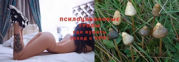 трава Карталы